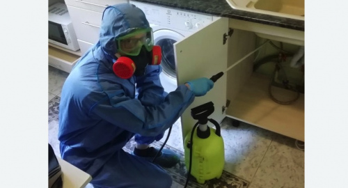 Уничтожение муравьев в квартире. Дегтярск