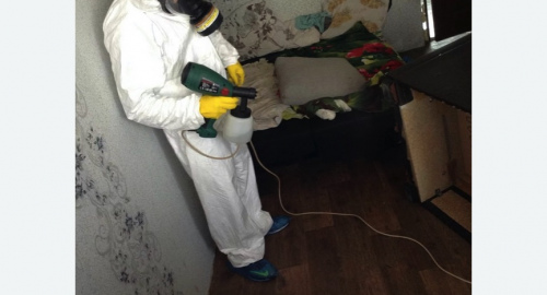 Обработка квартир от насекомых в Дегтярске