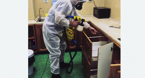 Дезинсекция квартиры. Дегтярск