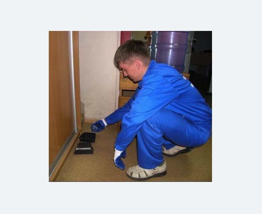 Дератизация крыс в Дегтярске