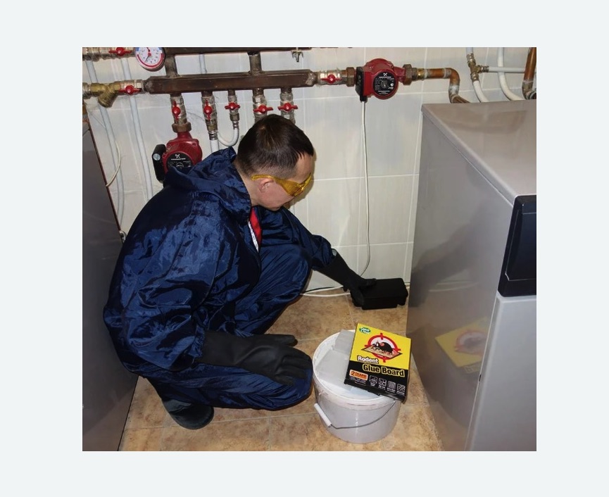 Уничтожение крыс в Дегтярске