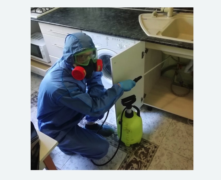 обработка от муравьев в квартире в Дегтярске