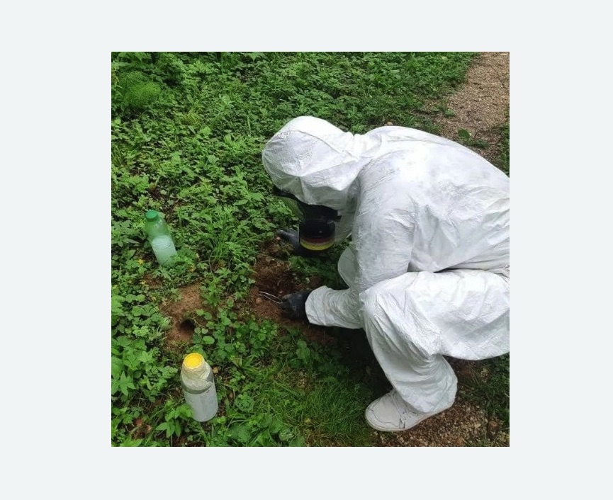 уничтожение кротов на участке в Дегтярске