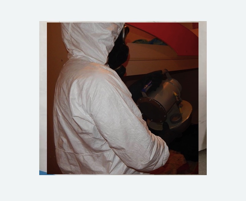 Дезинфекция от муравьев в Дегтярске