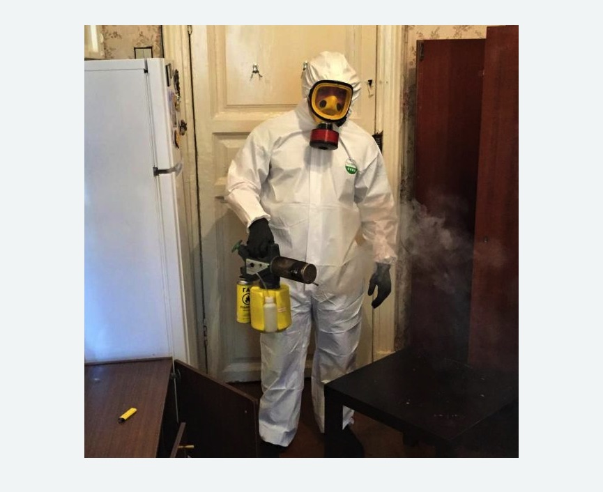 уничтожение муравьев в квартире в Дегтярске